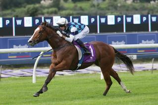 Qiji Phoenix Remains Unbeaten in Champagne Stakes. Photo: Trish Dunell.